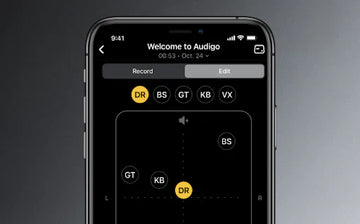 Multitrack Recording with Audigo